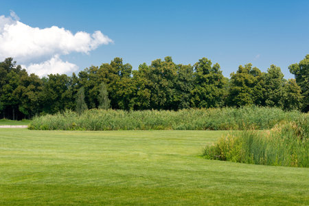 Green field with a bright blue sky above. Scenic landscapes of the park in the summertimeの写真素材