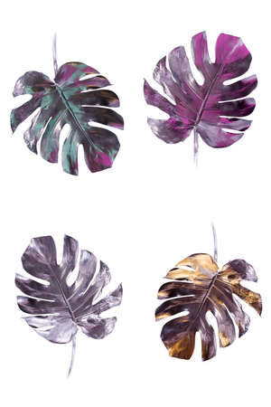 Monstera leaves painted in silver with pink and blue flares isolated on white. Minimalist luxury concept. Good for interior decoration pop-art poster.の写真素材