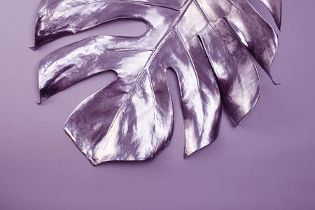 Big Monstera leaf painted in silver on a grey background. Minimalist luxury concept. Interior decoration poster.の写真素材