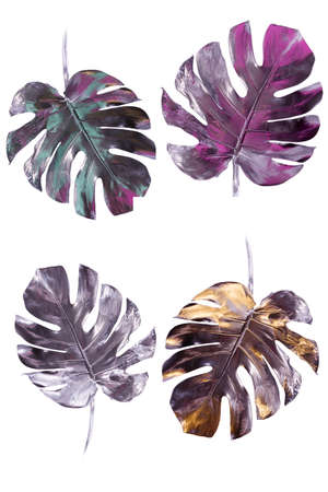 Monstera leaves painted in silver with pink and blue flares isolated on white. Minimalist luxury concept. Good for interior decoration pop-art poster.の写真素材