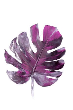 Monstera leaves painted in silver with pink flares isolated on white. Minimalist luxury concept. Good for interior decoration pop-art poster.の写真素材