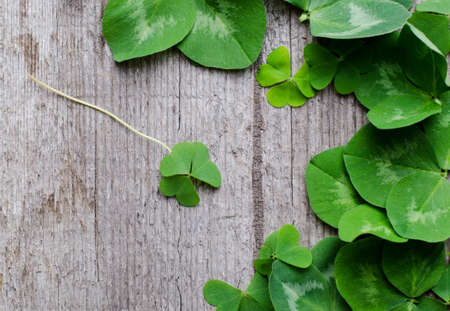 Border of fresh green shamrock leaves on a old wooden background. Template to Saint Patricks day greeting card.の写真素材
