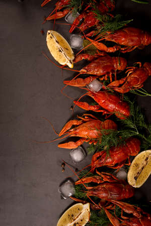 Boiled red crawfish, ready to eat with lemon slices and ice cubes on a black surface.の写真素材