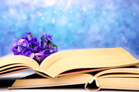 Vintage romantic background with wild violet flowers and old opened books against beautiful bokeh background and copy space for text.の写真素材