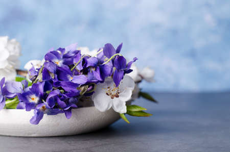 Bouquet with beautiful aromatic wild violets in a bowl. Composition with copy-space for greeting text.の写真素材