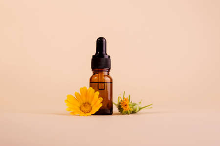 Dark cosmetic bottle of aromatic oil for herbal medicine with calendula flower on a beige backdrop with trendy shadows. Marigold extract.の写真素材