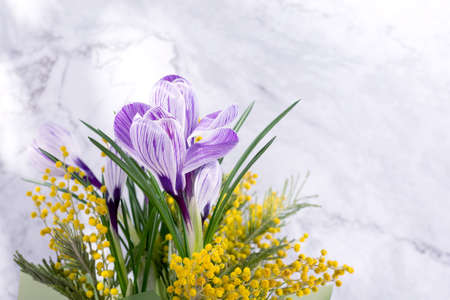 Beautiful spring bouquet of crocuses and mimosa flowers.の写真素材