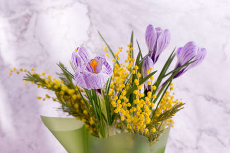 Beautiful spring bouquet of crocuses and mimosa flowers.の写真素材