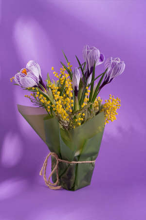 Beautiful spring bouquet of crocuses and mimosa flowers.の写真素材