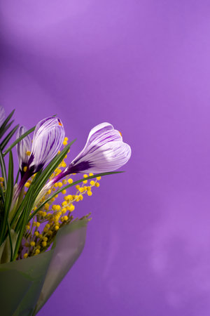 Beautiful spring bouquet of crocuses and mimosa flowers.の写真素材
