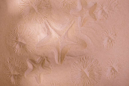Starfish trace on a sand surface. Summerbackground good for Seasonal Sale or Tour Trip announce.の写真素材