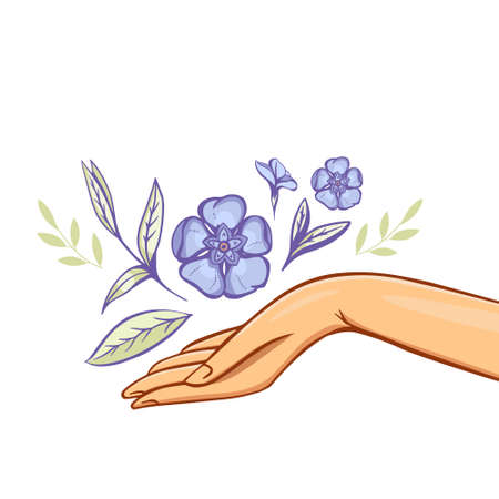 Periwinkle flowers over Womens Arm. Good for Feminine and Eco Friendly Products illustrationのイラスト素材