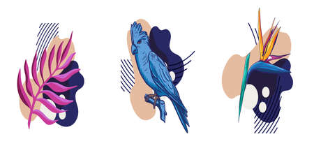 Tropical Exotic concept poster with abstract forms Bird of Paradise Flower and Blue Parrot.のイラスト素材