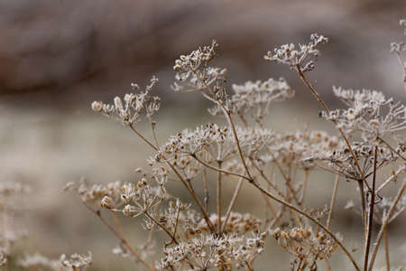 Beautiful winter landscape with Girskiy Tikych river running through frosted trees and rocks.の写真素材