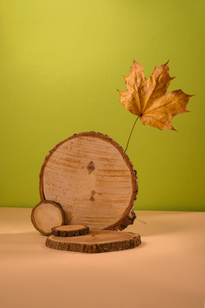 Set of wooden podiums, decor and autumn leaves on beige and green. Good for perfume, jew or cosmetic product presentation. Fall Seasonal Backgroundの写真素材