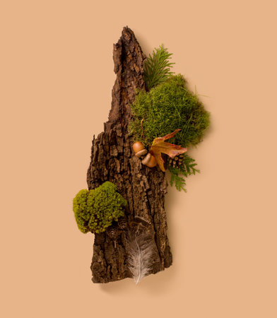 Green moss on tree bark on a beige background. Composition of bark tree decorated with moss. Abstract top view podium for presentation or exhibition of organic cosmetic products .の写真素材
