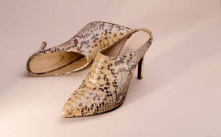 Womens high heeled ankle boot shoes made of Python Leather. Luxury leather shoes advertising backdrop.の写真素材