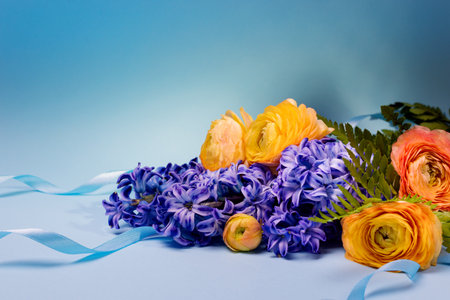 Composition of Purple Hyacinth and Yellow Buttercups on Light Blue Background. Holiday banner, copy space. Valentines Day, Mothers day, birthday or arrangement concept.の写真素材