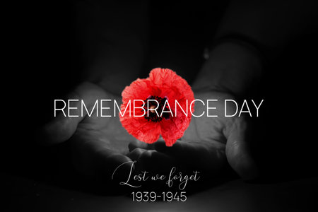 Remembrance Day Banner Template. Red Poppy over Burning Candle in the Human Hands.の写真素材