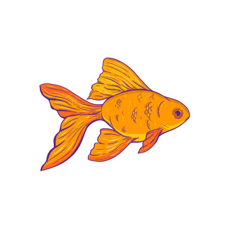 Goldfish vector illustration. Sketch style illustration of goldfish on a white background.のイラスト素材