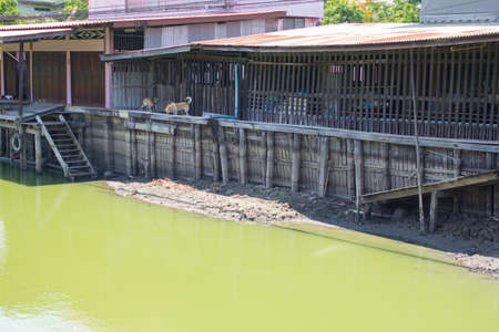 hovels on the riverside in a small thai village in the countrysideの写真素材