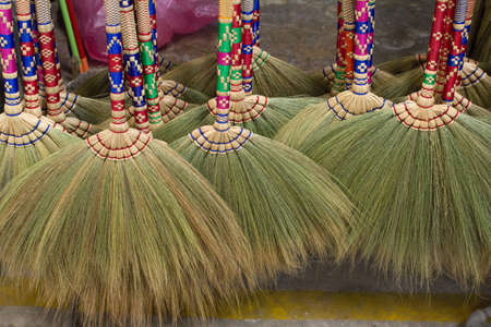 sorghum broomsの写真素材