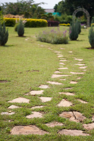 abstract walkway in parkの写真素材