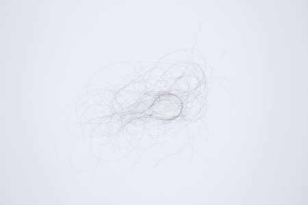 hair debrisの写真素材