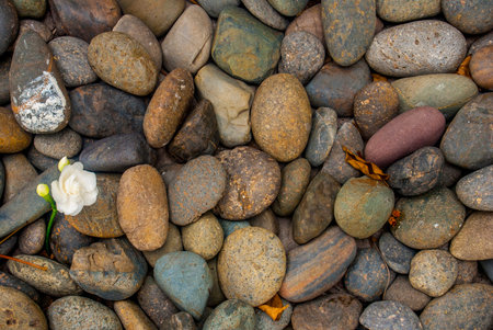 Natural granite is the background of the top view.