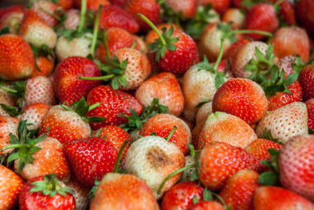 background from freshly harvested strawberries, directly aboveの写真素材