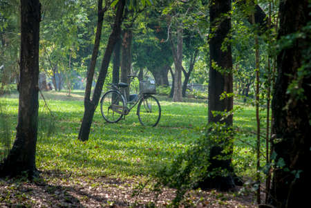 Bicycle parked in the park. Bangkokの写真素材