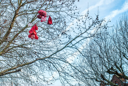 Red balloon stuck on the tree