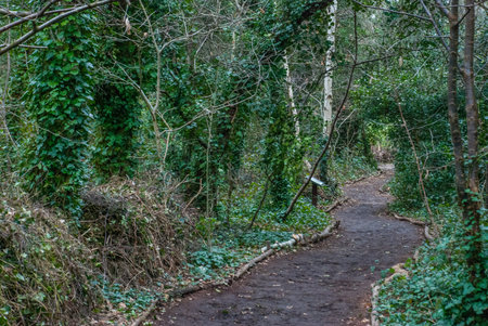 London Gunnersbury Park English landscape park Running Walking Path
