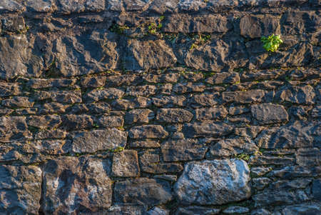 the old stone wall texture background natural color.の写真素材