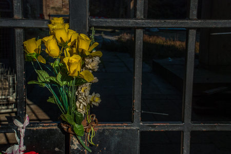 Yellow plastic flowers tied to steel doors. Suitable for making background images