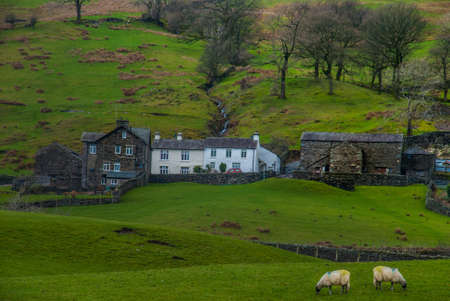 Landscape with English countryside of sheep on the hillsideの写真素材