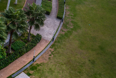 Lawn and trees in the resting area of the condominium's central garden, Suitable for making...