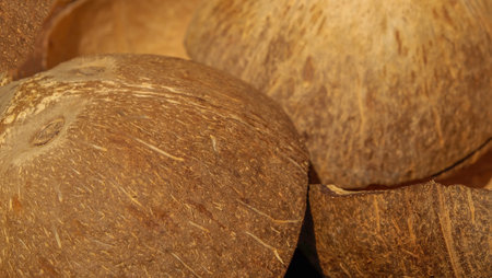 Textured background of brown coconuts shell