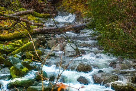 Waterfall green forest river stream landscape, Beautiful natural landscape