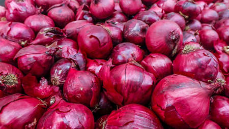 The new harvest onions red at local farm market, Fresh onions red. Onions red background. Ripe onions red.の写真素材