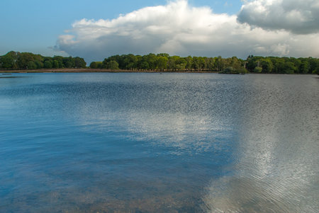 The background of the river with a forest background and beautiful sky Suitable for making...