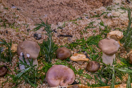 Close-up pictures of mushrooms with cheese and vegetables on the food tray.の写真素材
