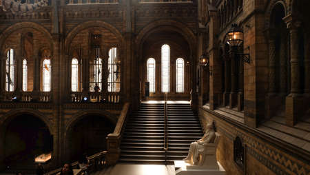 LONDON UK - Apr 21, 2019 - Interior architecture and decoration of The Natural History Museum, the UK's centre of excellence collections in taxonomy and specimens biodiversity in South Kensington, London, England, United Kingdom.のeditorial素材