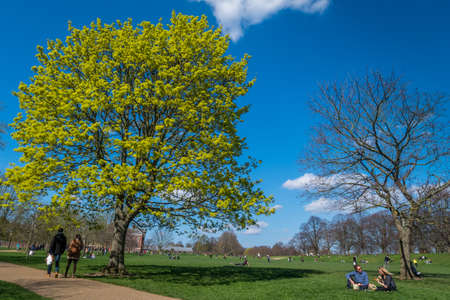 London - 23 Mar 2019 - People come to relax at Hyde Park on a nice day.のeditorial素材