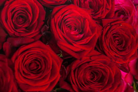 beautiful bouquet of red rose flower, the work of the florist at a flower shop, background on full...