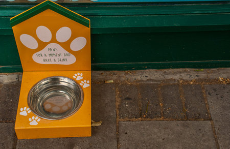 A dog waiting in front of a silver metal bowl for some food to be put in it for dinner time,...