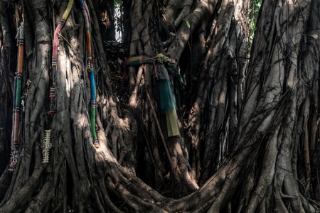 A plastic flower garland and The traditional colorful fabrics tied is hanging on a big tree. It's colorful (orange, yellow,green) with pink ribbon. Thais use garlands for worship in religion or belief.の写真素材