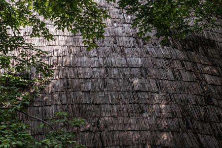 Thatch roof background, hay or dry grass background, Thatch roof texture.の写真素材