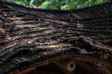 Thatch roof background, hay or dry grass background, Thatch roof texture.の写真素材