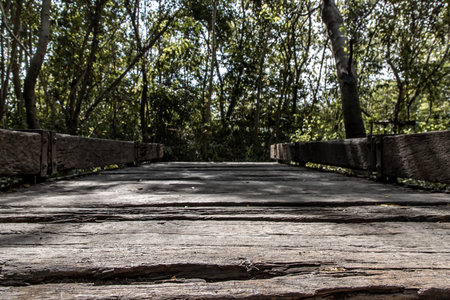 Old wooden walkway through the nature park, That has Sun rays shining through. Beautiful background,...